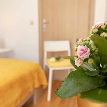 دوبروفينك Apartment Nik - Cosy And Stylish المظهر الخارجي الصورة